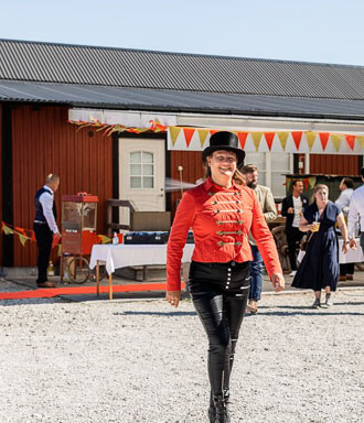 IMG_6709_WEB-patricia-holmen-drombrollop-gotland-533x620.jpg