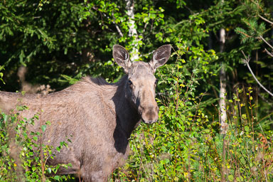 DSC_1671.jpg
