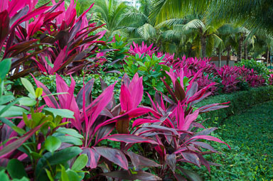 DSC_0001_v1.jpg