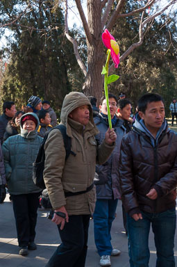 DSC_0039_01_v1.jpg