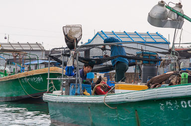 DSC_0039_v1.jpg