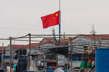 DSC_0051_v1.jpg
