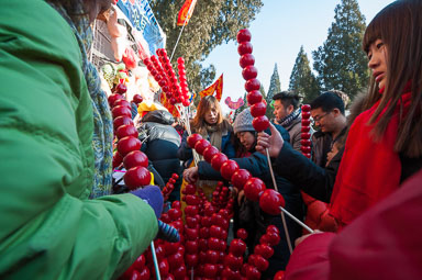 DSC_0072_01_v1.jpg