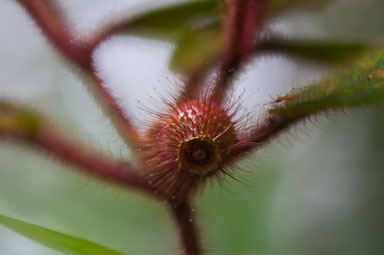 DSC_0130_v1.jpg
