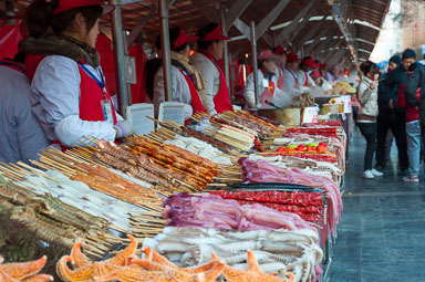 DSC_0235_01_v1.jpg