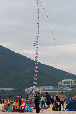DSC_0301_v1.jpg