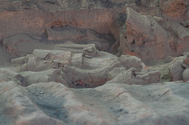 DSC_0422_v1.jpg
