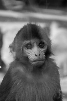 DSC_0587_v1.jpg