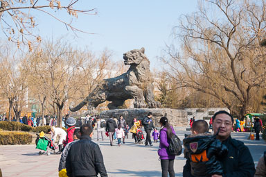 DSC_0652_v1.jpg