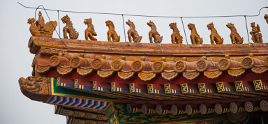 DSC_0764_v1.jpg