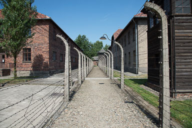 Polen-46_v1.jpg