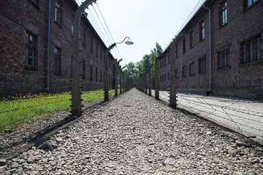 Polen-47_v1.jpg